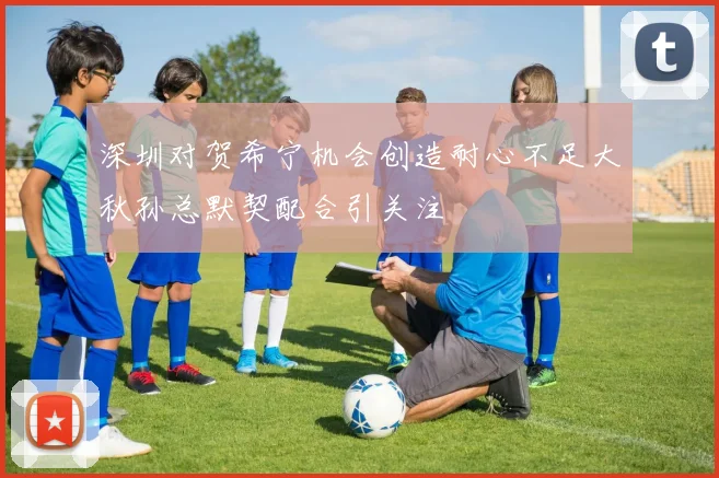 深圳对贺希宁机会创造耐心不足大秋孙总默契配合引关注